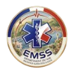 Logo officiel EMSS83